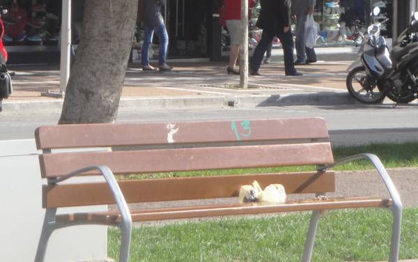 Προβληματική νοοτροπία