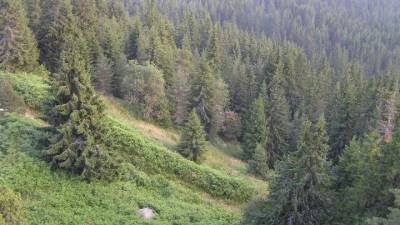 ΥΠΕΝ: Πρόληψη και προστασία του περιβάλλοντος στο επίκεντρο για το 2022