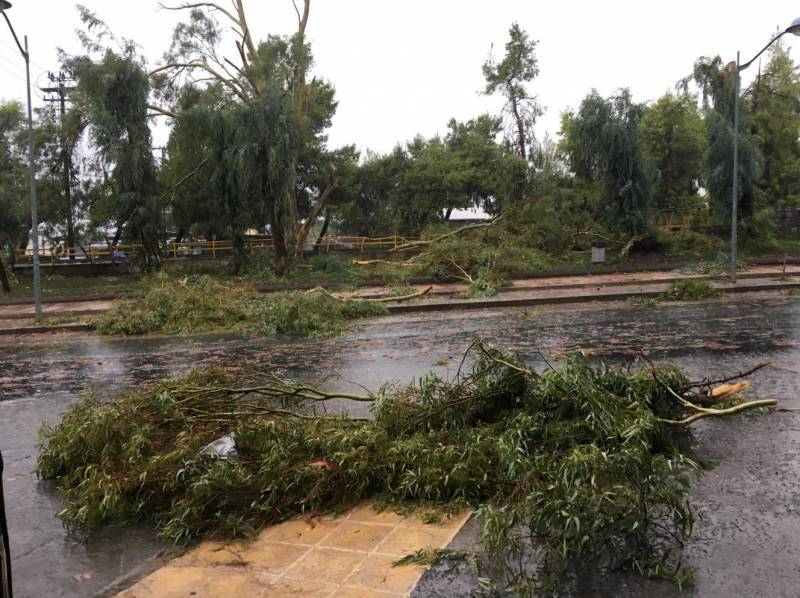 Δήμος Καλαμάτας: Ετοιμότητα για την κακοκαιρία
