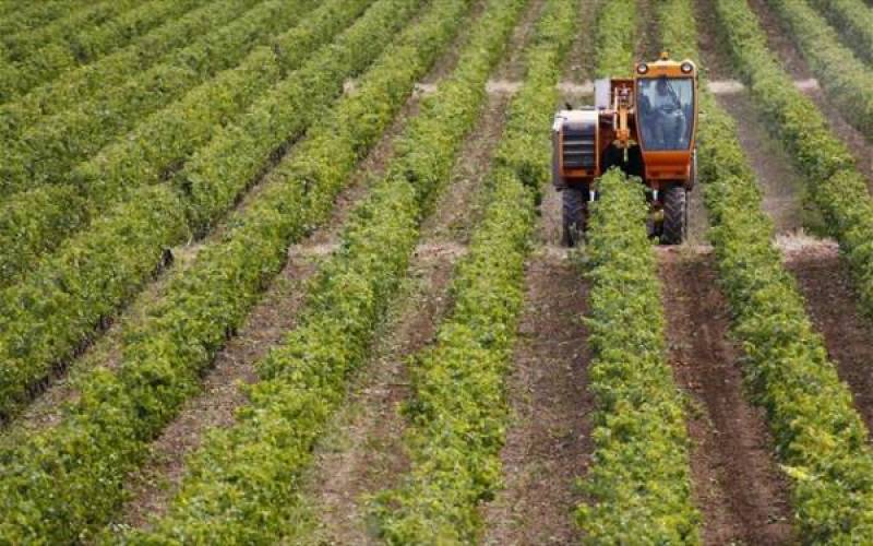 Εως 15 Μαΐου αιτήσεις για εξισωτική αποζημίωση