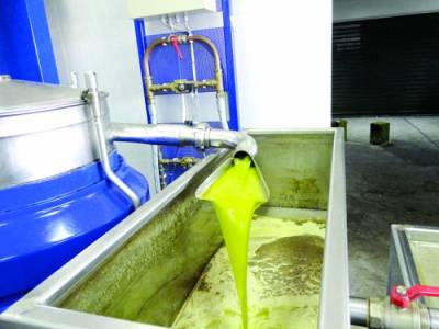 Ολοκληρωμένο σχέδιο για την ελαιοκαλλιέργεια