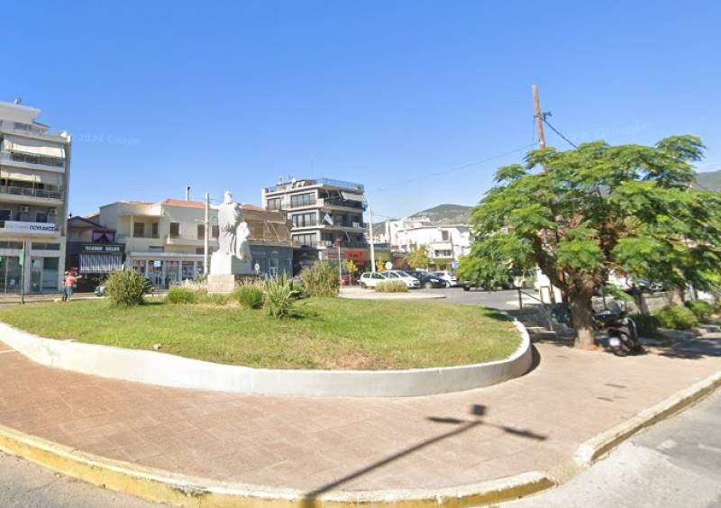 Ακαθαρσίες κατοικιδίων σε κάθε σηµείο