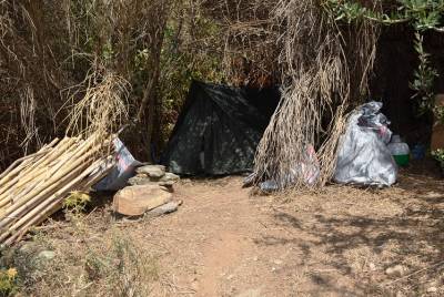 Συνελήφθη 43χρονος για 93 χασισόδεντρα και 3 κιλά χασίς στον Ταΰγετο - Αναζητείται 58χρονος συνεργός του (φωτογραφίες)