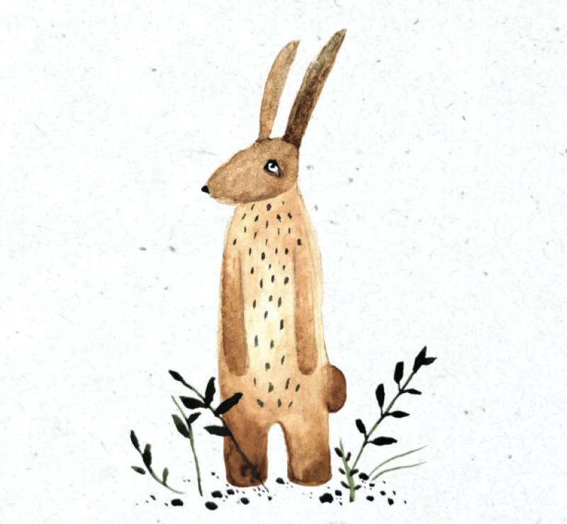 Ενα νέο βιβλίο με κάτι από Πάσχα: "Τα κουνέλια σώζουν τα αστέρια"