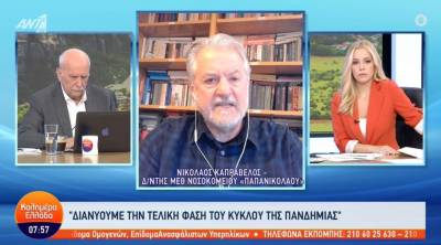 Καπραβέλος: Διανύουμε την τελική φάση του κύκλου της πανδημίας (Βίντεο)