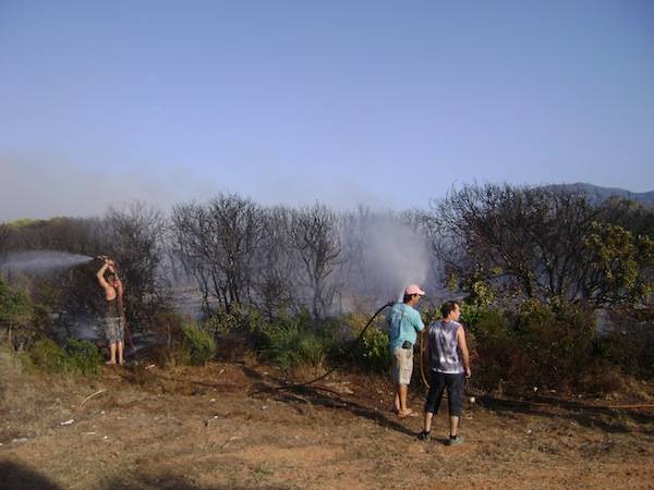 Φωτιά στην Κυπαρισσία