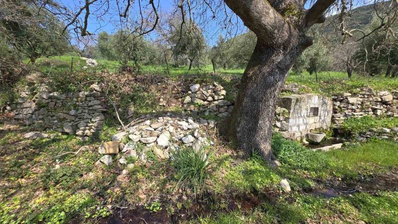 Διήμερο εργαστήρι ξερολιθιάς στο Ρίπεσι