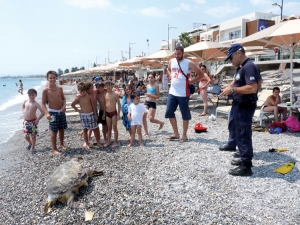 Νεκρή καρέτα - καρέτα στην Ανατολική Παραλία