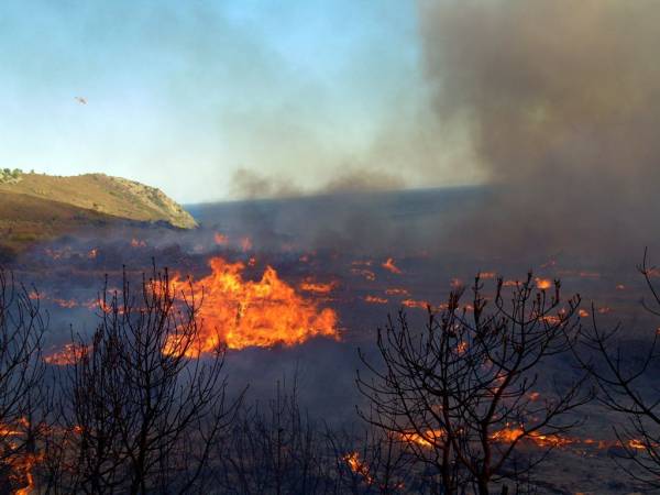 Υπό έλεγχο η φωτιά στη Χάλκη Νεμέας