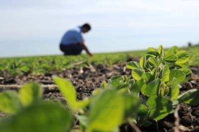 Γερμανία: Εκτακτη ψηφιακή σύνοδο των υπουργών Γεωργίας της G7 αφιερωμένη στην επισιτιστική ασφάλεια