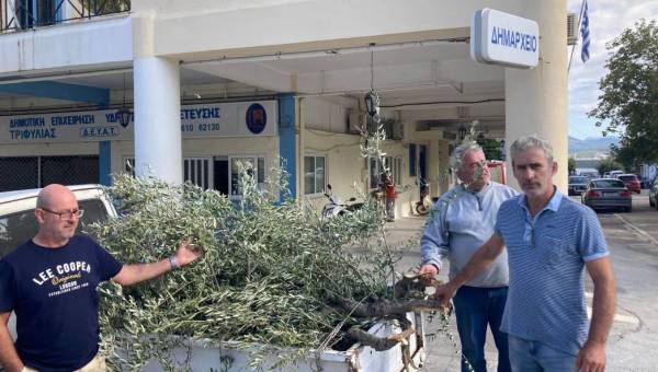 Διαμαρτυρία για καταστροφές από βοοειδή στην Τριπύλα