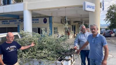 Διαμαρτυρία για καταστροφές από βοοειδή στην Τριπύλα