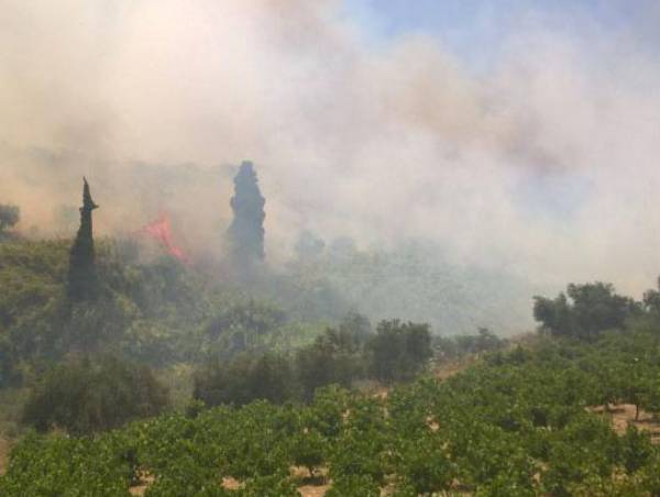 Φωτιά έκαψε 15 στρέμματα στο Κουρτάκι