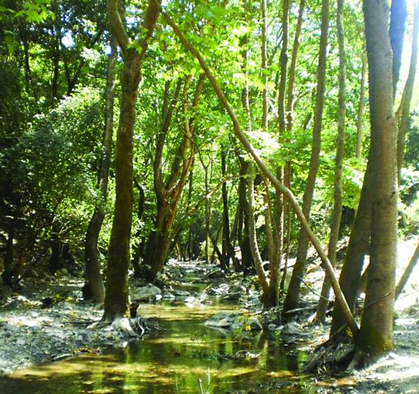&quot;Εναλλακτικές μορφές τουρισμού δωδεκάμηνη επισκεψιμότητα&quot; την Κυριακή στην αίθουσα της &quot;Ε&quot;
