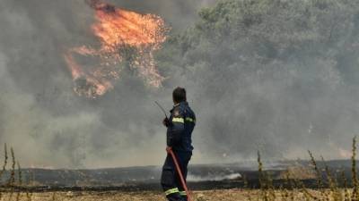 Πυρκαγιά σε δασική έκταση στη Στεμνίτσα