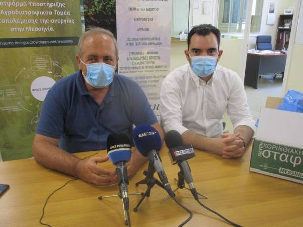 Ένωση Μεσσηνίας: Μειωμένη παραγωγή, σταθερή η τιμή στη σταφίδα (βίντεο)