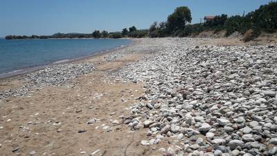 Ανάδοχος για αντιδιαβρωτική προστασία Αίπειας