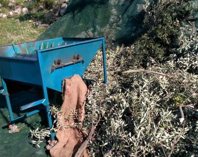 Απλούστευση διαδικασίας για ενίσχυση ελαιοπαραγωγών ζητεί ο Λαμπρόπουλος