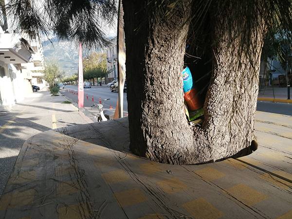 Κάδος απορριμμάτων