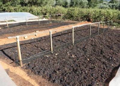 Ο Δήμος Πύλου - Νέστορος αγοράζει σταφίδα και τη μοιράζει σε μαθητές