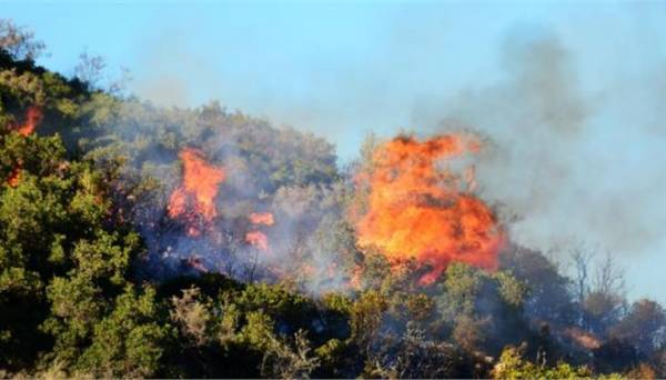 Κάηκαν 15 στρέμματα στη Μάλη