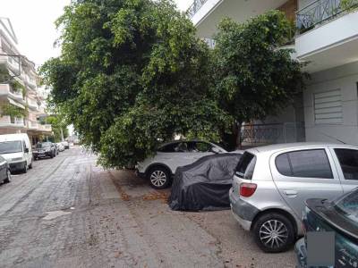 Χρειάζεται κλάδεμα