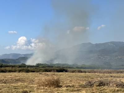 Καλαμάτα: Πυρκαγιά σε καλάμια κοντά στον καταυλισμό &quot;Παναγάκια&quot;