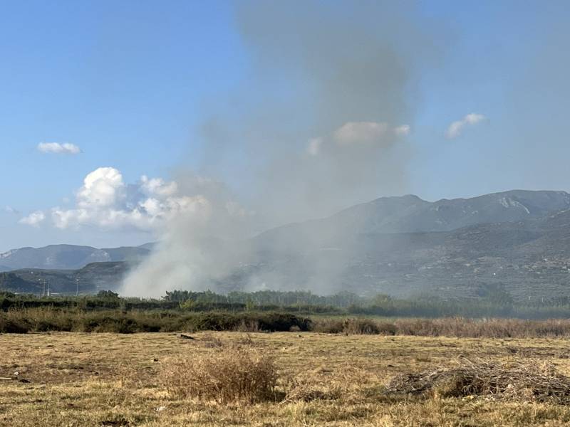 Καλαμάτα: Πυρκαγιά σε καλάμια κοντά στον καταυλισμό &quot;Παναγάκια&quot;
