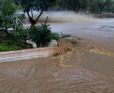 Ρεκόρ βροχών επταετίας στην Τριφυλία