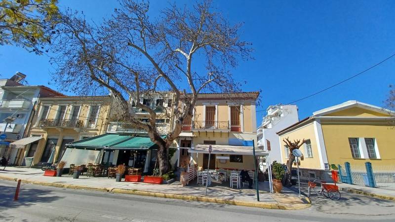 Να κλαδευτεί ο πλάτανος