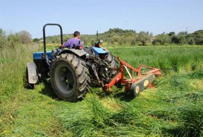 Ποια είναι η τελική λύση για τους δασωθέντες αγρούς: Αναλυτικά ρυθμίσεις και προϋποθέσεις για την επιστροφή στους ιδιοκτήτες