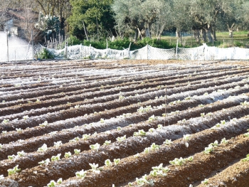 Δυσκολεύονται με το κρύο τα νοικοκυριά - Λιγότερο πετρέλαιο,  στροφή στα καυσόξυλα