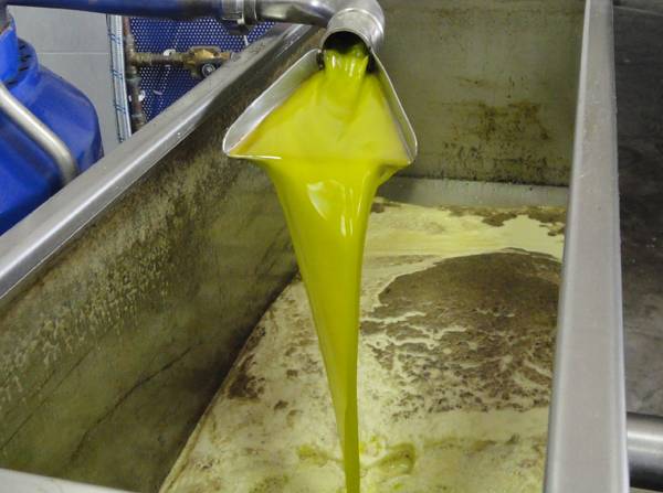 Ερώτηση για την εισαγωγή λαδιού από την Τυνησία από Κοζομπόλη και Κωνσταντινέα