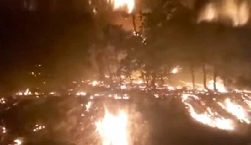 Μεγάλη αναζωπύρωση στη Δαδιά: Μήνυμα του 112 και νέα εκκένωση του χωριού (βίντεο)