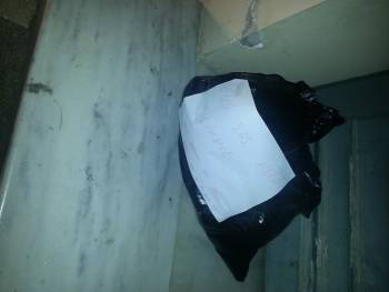 Δηλητηρίασαν αδέσποτο σκυλάκι στην Καλαμάτα