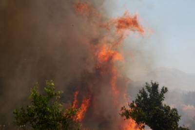 Τα αυτονόητα  για τις πυρκαγιές