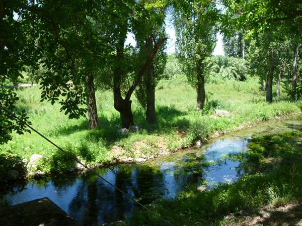 Προστασία πηγών Πηδήματος και Αγίου Φλώρου