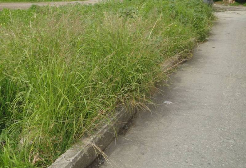 Αδυναμία επέμβασης στα ιδιωτικά οικόπεδα σύμφωνα με τον Νίκα