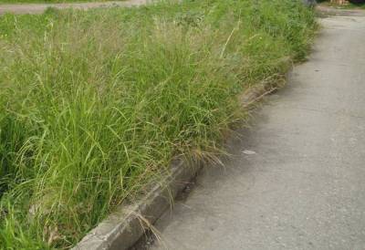 Αδυναμία επέμβασης στα ιδιωτικά οικόπεδα σύμφωνα με τον Νίκα