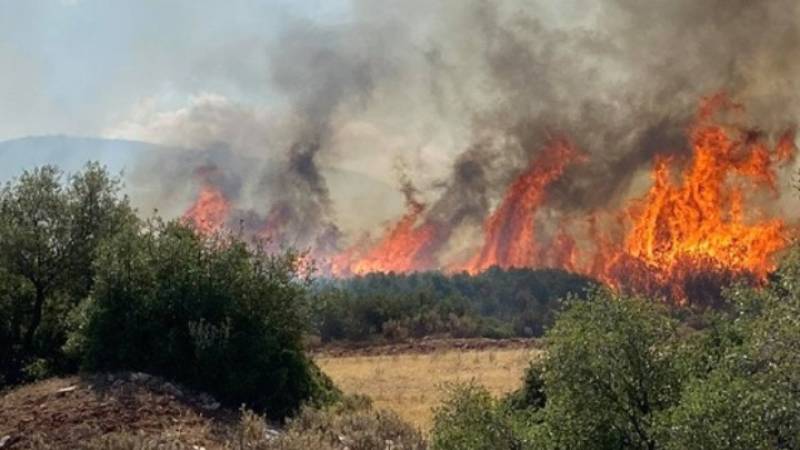 Πυρκαγιά στον Μύτικα Σπάρτης
