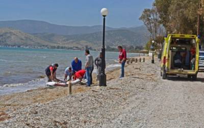 Ηράκλειο: Πνίγηκε 7χρονος σε παραλία της Άρβης