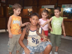 Το "Ερπετόραμα" στο Παράλιο Αστρος