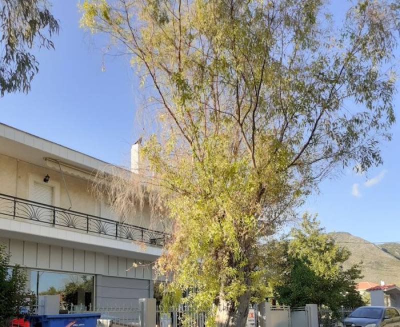 “Βάρβαρες” ιδέες και προτάσεις στον Δήμο Πύλου - Νέστορος (φωτογραφίες)