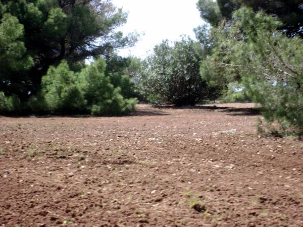 Η εταιρεία υποστηρίζει ότι όλα έγιναν νόμιμα στο οικόπεδο 306 στρεμμάτων 