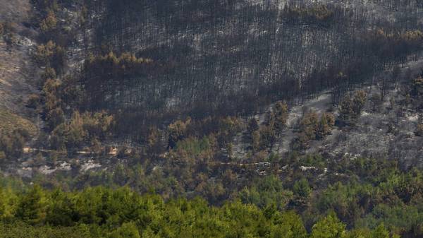 Ενεργοποιήθηκε ο &quot;Κοπέρνικος&quot; για τη χαρτογράφηση των καμμένων εκτάσεων
