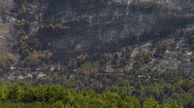 Ενεργοποιήθηκε ο &quot;Κοπέρνικος&quot; για τη χαρτογράφηση των καμμένων εκτάσεων