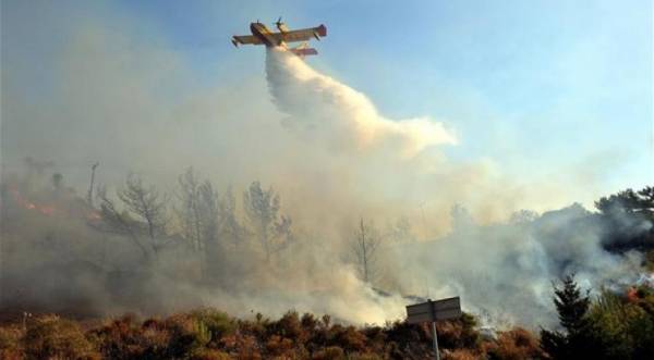 Σε εξέλιξη φωτιά στην περιοχή Δαιμονιά, στη νότια Λακωνία