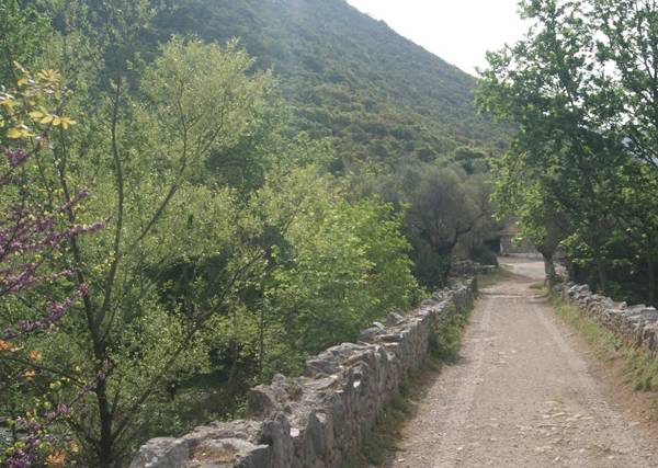 333.880 ευρώ για τα μονοπάτια της Νέδουσας