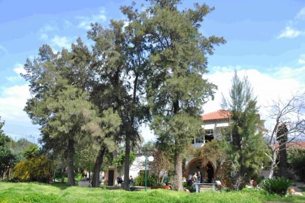 Γνωριμία με το αγρόκτημα "Φοίφα" στην Καλαμάτα (βίντεο και φωτογραφίες)