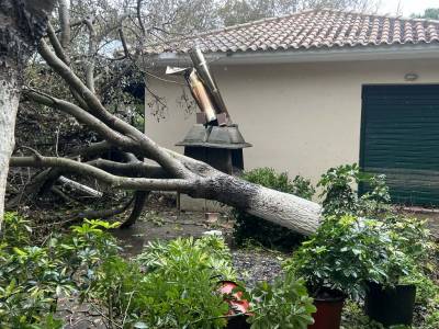 Καταγραφή ζημιών στη Φοινικούντα μετά τον ανεμοστρόβιλο